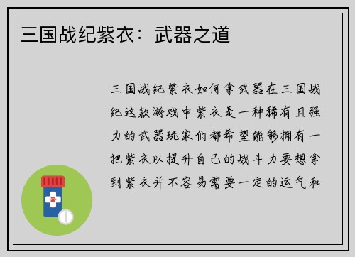三国战纪紫衣：武器之道